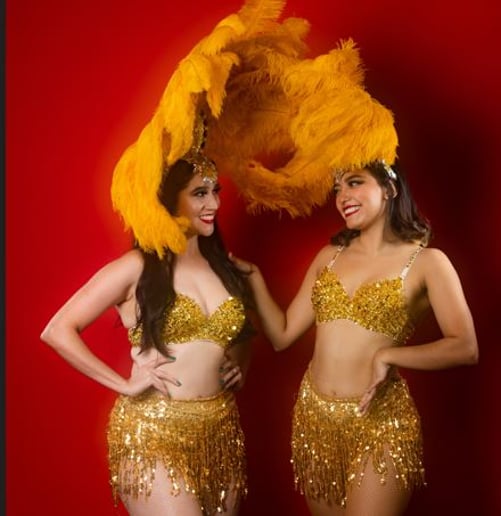 Gallery photo 3 of Variety of Professional Dancers and Performers