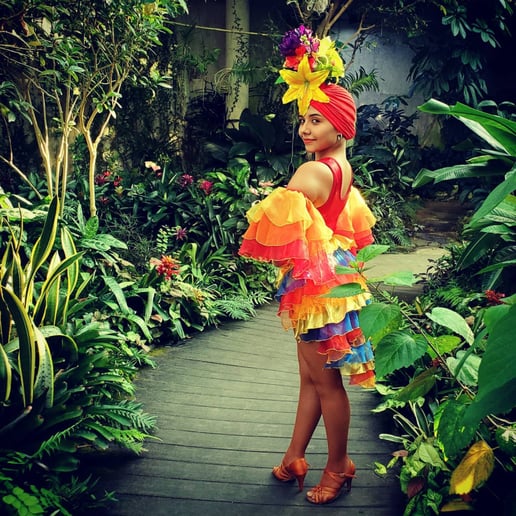 Gallery photo 8 of Variety of Professional Dancers and Performers