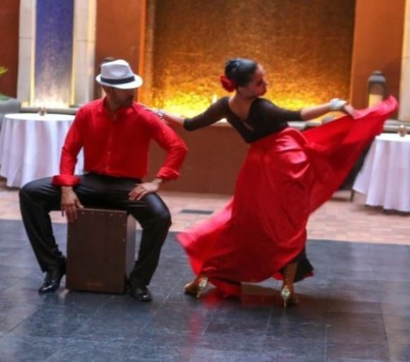 Gallery photo 9 of Variety of Professional Dancers and Performers