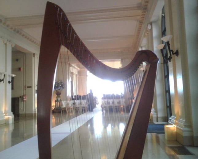 Gallery photo 21 of Amethyst Trio