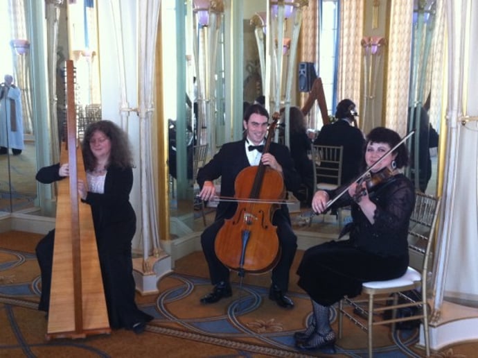 Gallery photo 15 of Amethyst Trio