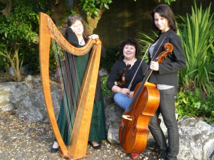 Gallery photo 19 of Amethyst Trio