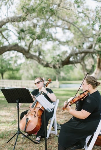 Gallery photo 4 of Rabinowitz Music