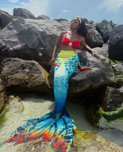 Gallery photo 1 of Ami'a Koi