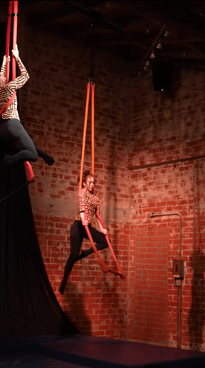Gallery photo 8 of Sarah Lee - Aerialist