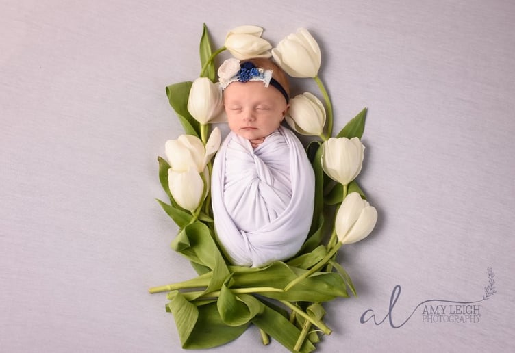 Gallery photo 7 of Amy Leigh Photography