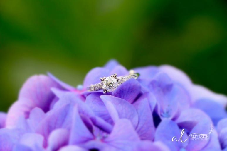 Gallery photo 1 of Amy Leigh Photography