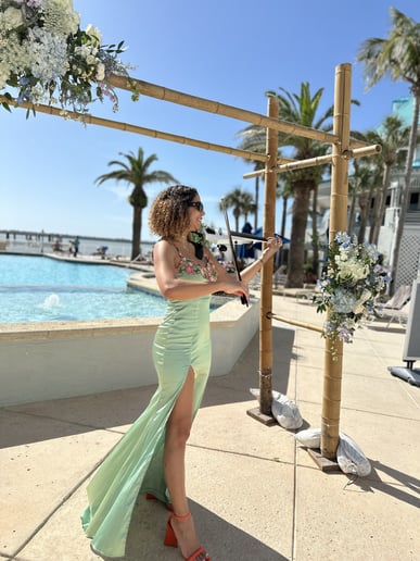 Gallery photo 1 of AmyViel Violinist