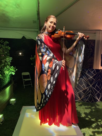 Gallery photo 5 of Ana Luna, Violinist