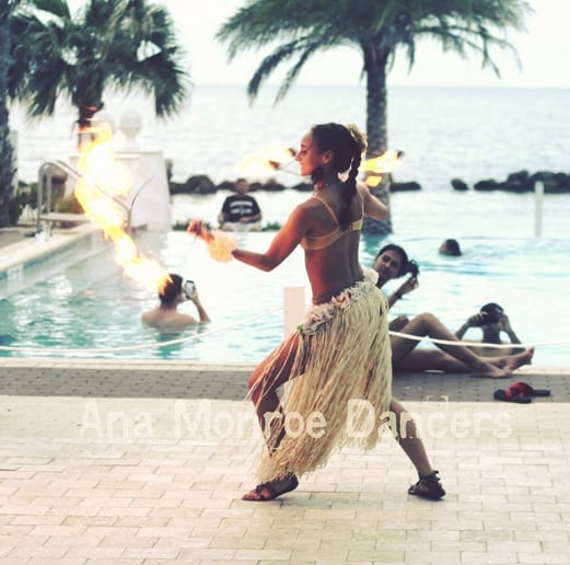 Gallery photo 17 of Ana Monroe Shows and Event Planning