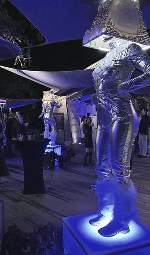 Gallery photo 6 of Ana Monroe Shows and Event Planning