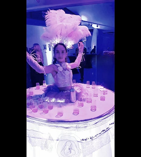 Gallery photo 14 of Ana Monroe Shows and Event Planning