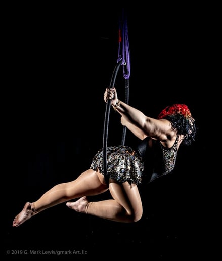 Gallery photo 5 of Elevated Circus