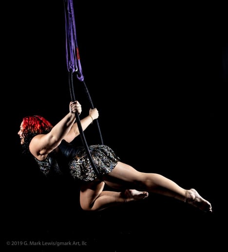 Gallery photo 6 of Elevated Circus