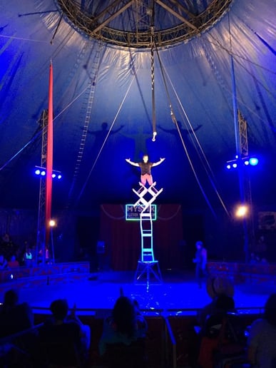 Gallery photo 2 of Anastasini Entertainment