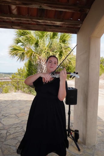 Gallery photo 3 of Anastasy Violin