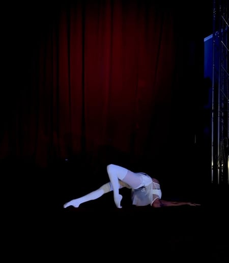 Gallery photo 7 of Ancient City Circus Entertainment