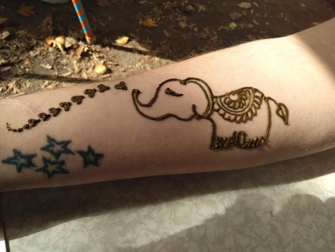 Gallery photo 6 of Ancient Fire Henna