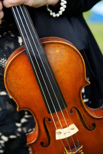 Gallery photo 6 of And I Love Her Violins