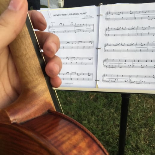 Gallery photo 1 of And I Love Her Violins