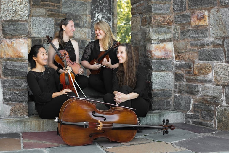 Gallery photo 1 of Andante Strings