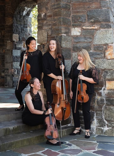 Gallery photo 2 of Andante Strings