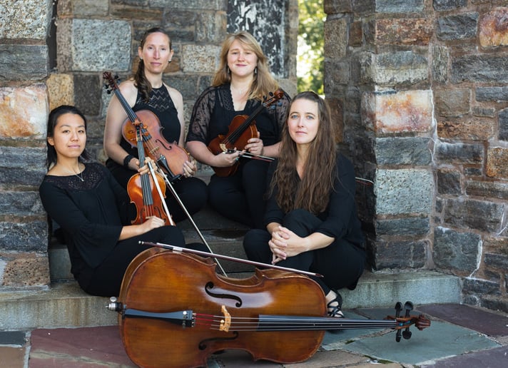 Gallery photo 3 of Andante Strings