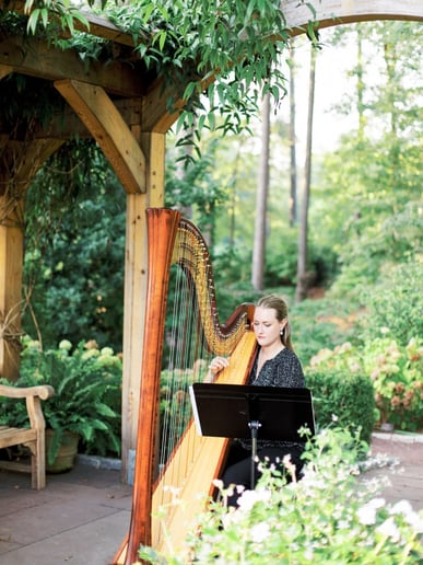 Gallery photo 4 of Andrea Blanchfield, Harpist
