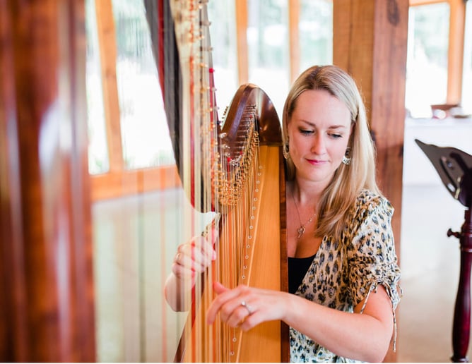 Gallery photo 2 of Andrea Blanchfield, Harpist