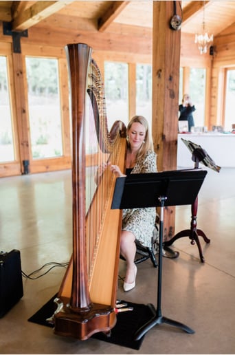 Gallery photo 8 of Andrea Blanchfield, Harpist