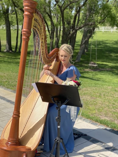 Gallery photo 9 of Andrea Blanchfield, Harpist