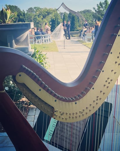 Gallery photo 10 of Andrea Blanchfield, Harpist