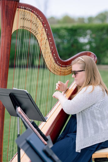 Gallery photo 5 of Andrea McGaugh, harpist and singer