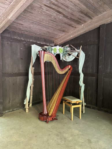 Gallery photo 7 of Andrea McGaugh, harpist and singer