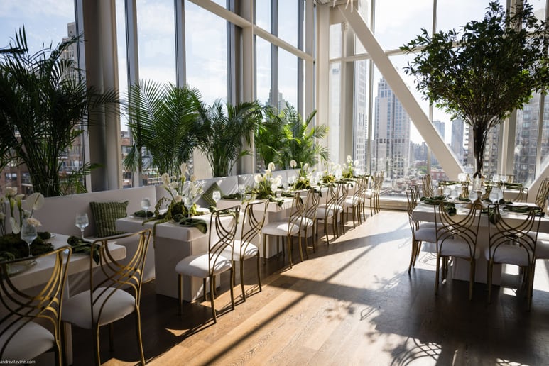 Gallery photo 8 of Andrew Levine Photography