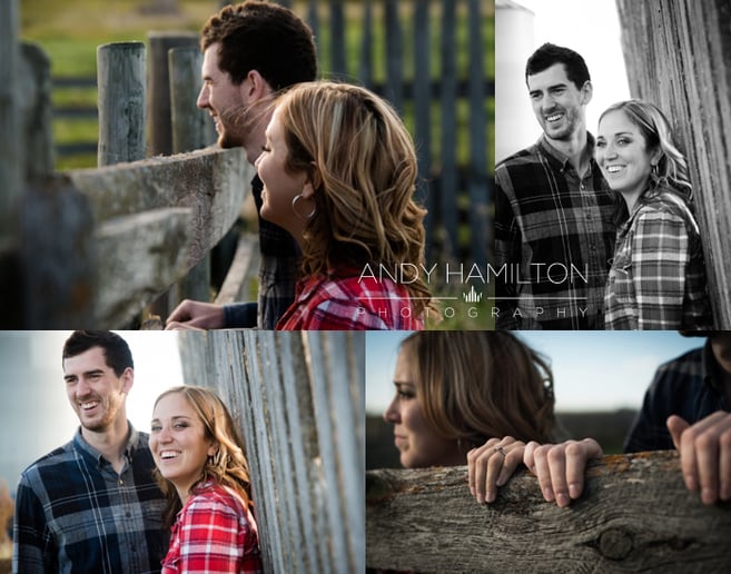 Gallery photo 3 of Andy Hamilton Photography