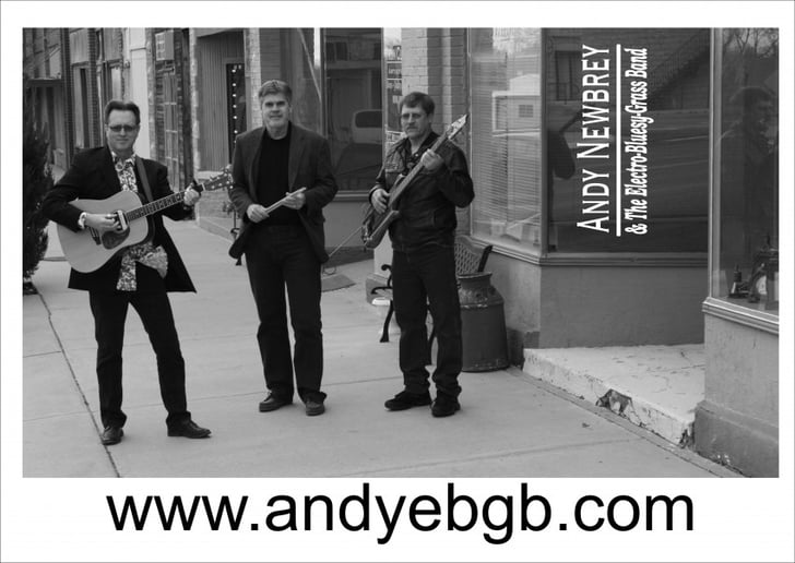Gallery photo 5 of Andy Newbrey & The Electro-Bluesy-Grass Band