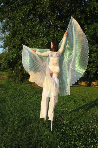 Gallery photo 4 of Angela Kollmer