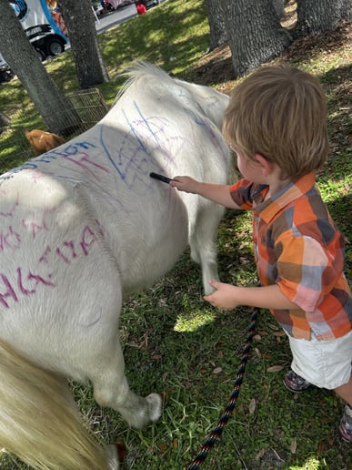 Gallery photo 1 of Angela’s petting zoo
