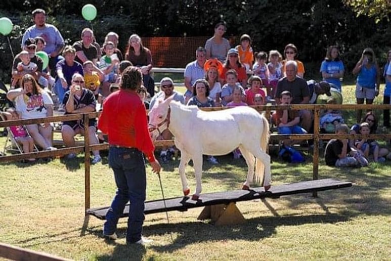 Gallery photo 11 of Covenant Animal Encounters