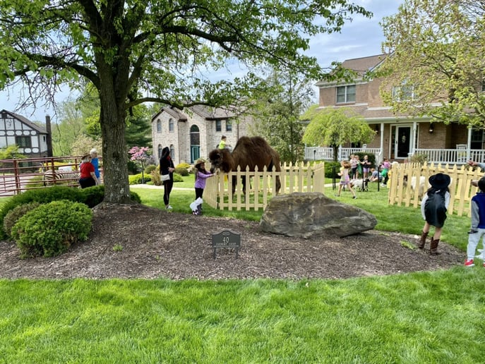 Gallery photo 6 of Covenant Animal Encounters