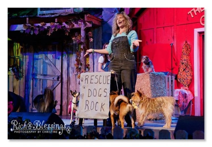 Gallery photo 4 of Animal Biz