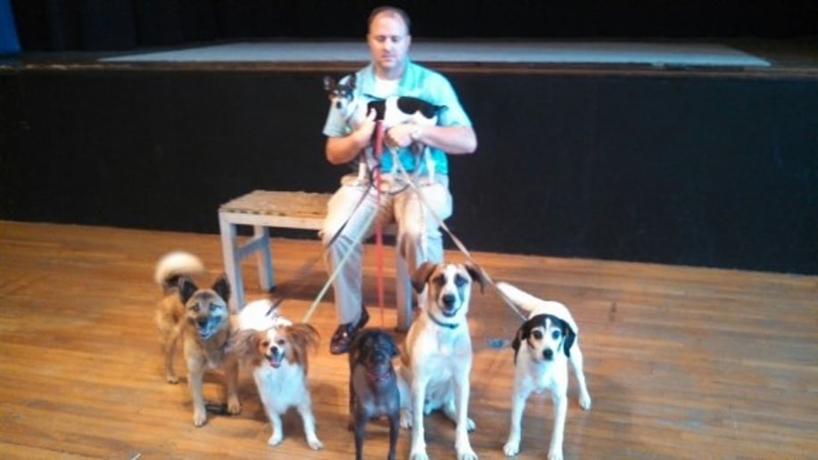 Gallery photo 10 of Animal Biz