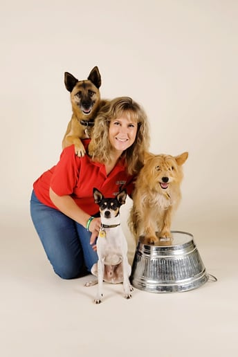 Gallery photo 7 of Animal Biz