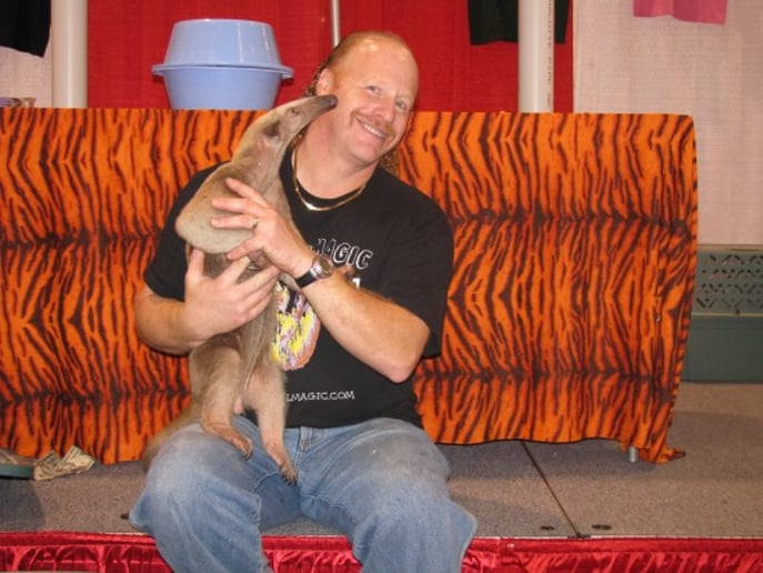 Gallery photo 2 of Animal Magic