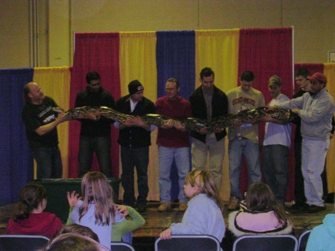 Gallery photo 7 of Animal Magic