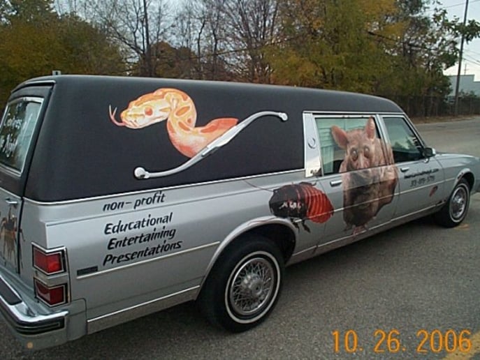 Gallery photo 9 of Animal Magic