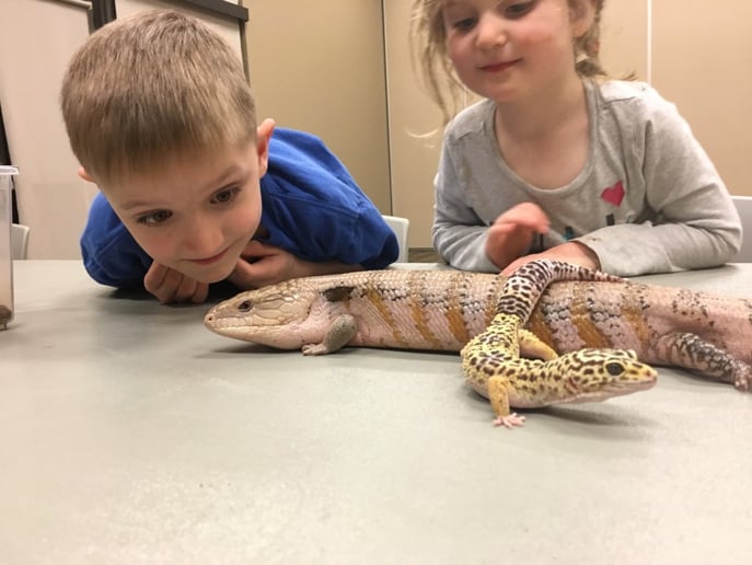Gallery photo 2 of Animal Wonders, LLC