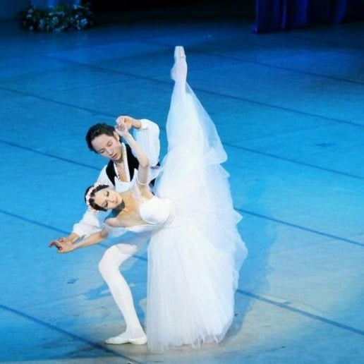 Gallery photo 1 of Anischenko Ballet