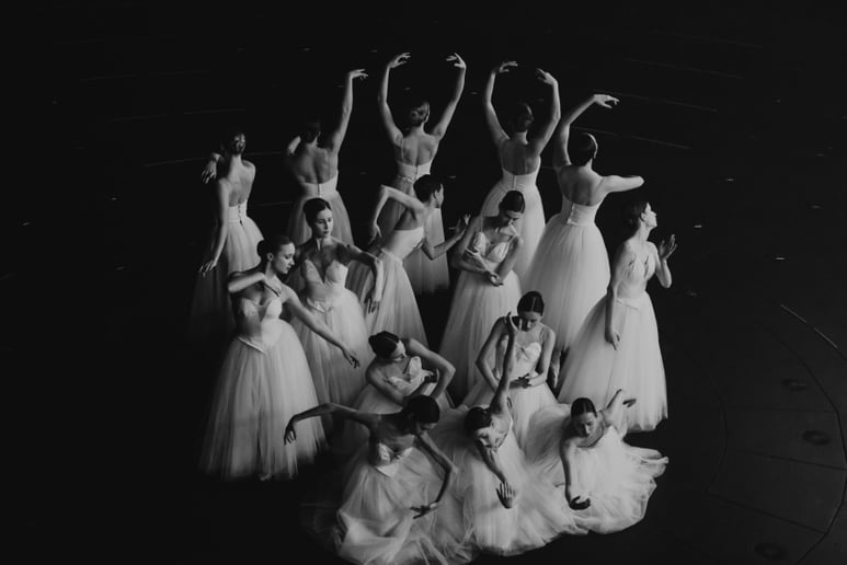 Gallery photo 3 of Anischenko Ballet